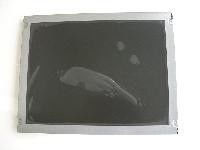 TM057KDH01-00 TIANMA 5.7 بوصة 320 (RGB) × 240 400cd / متر مربع شاشة LCD الصناعية