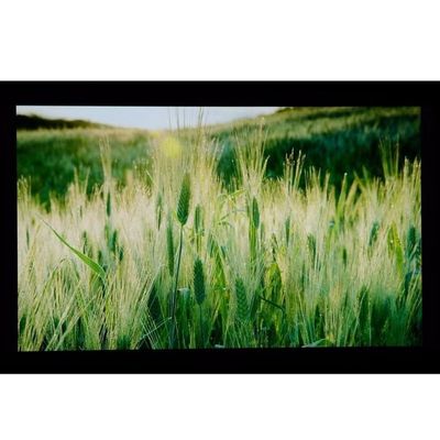 10.1 "LCM 1024 × 600RGB 350cd / m² LQ101W3LG01 شاشة شارب TFT LCD