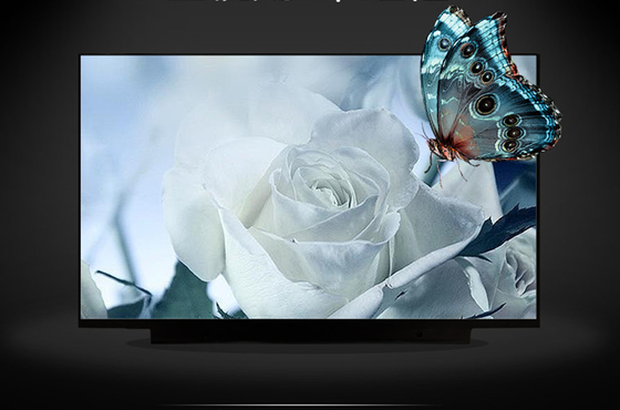 M133NVF3 R0 IVO 13.3&quot; 1920 ((RGB) × 1080, 300 (cd/m2) شاشة LCD الصناعية