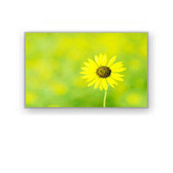 4.0 &quot;320 × 240 4700cd / M2 شاشة LCD صناعية HSD040I3N1-B00 HannStar